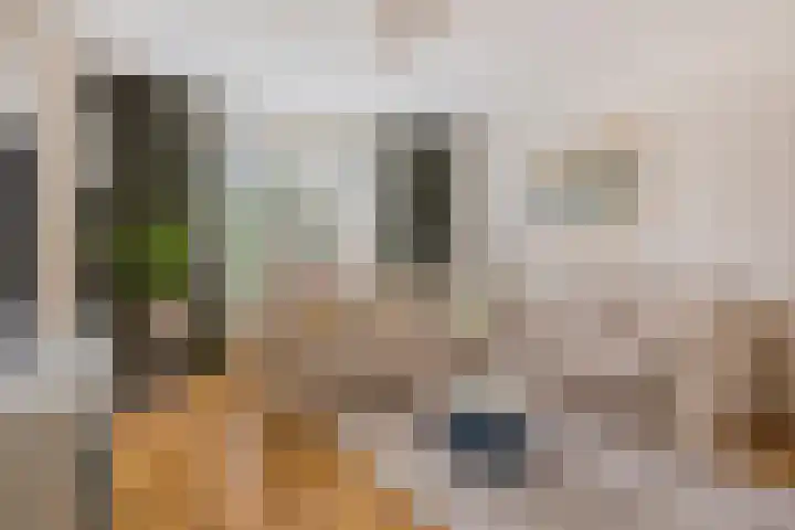 Hoogewei 64 Goes thumbnail 5
