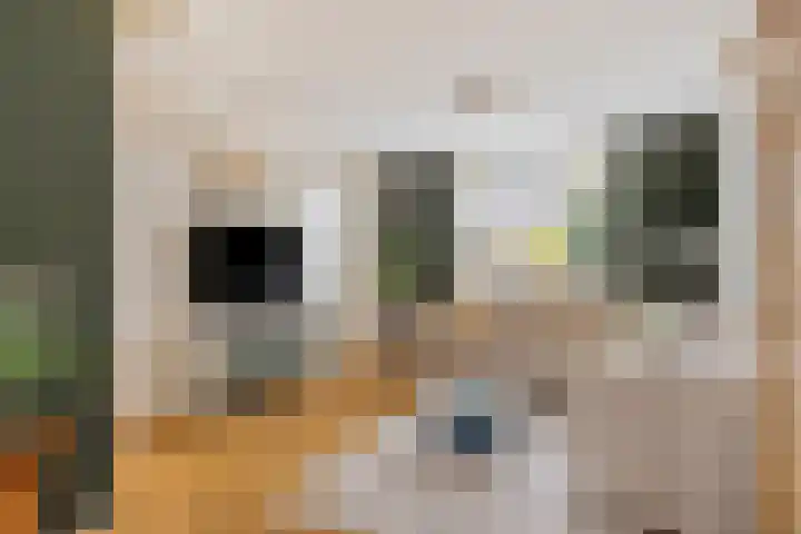 Hoogewei 64 Goes thumbnail 6