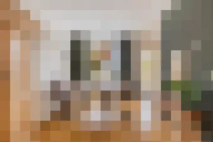 Hoogewei 64 Goes thumbnail 8