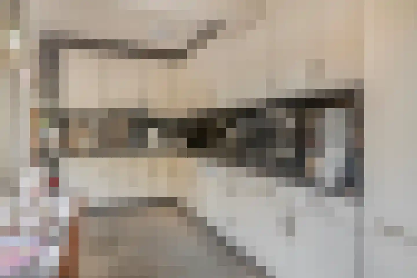Hoogewei 76 Goes thumbnail 15