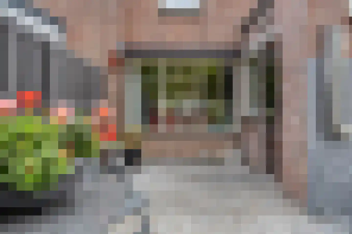 Hoogewei 76 Goes thumbnail 36