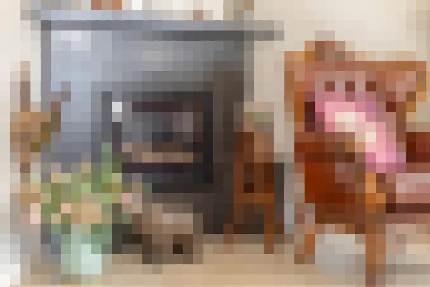 Hoogewei 76 Goes thumbnail 9