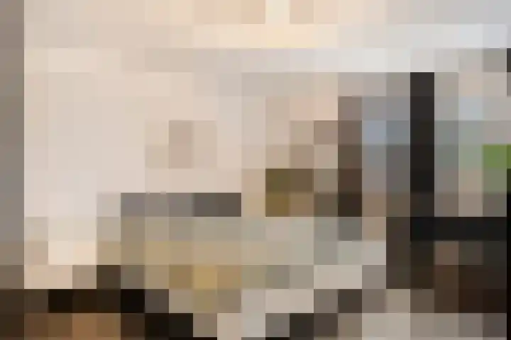 Hoogewei 78 Goes thumbnail 14