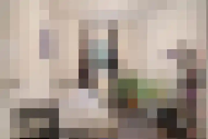 Hoogewei 78 Goes thumbnail 16