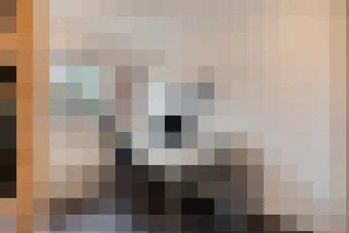 Hoogewei 78 Goes thumbnail 17