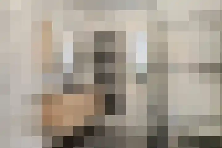 Hoogewei 78 Goes thumbnail 19
