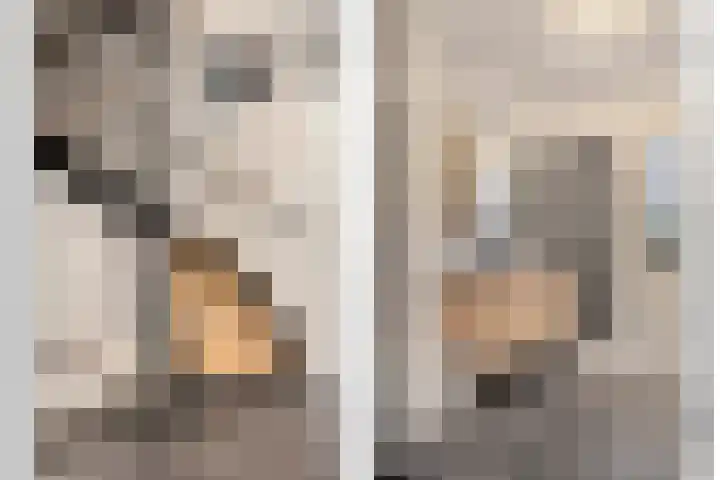 Hoogewei 78 Goes thumbnail 20
