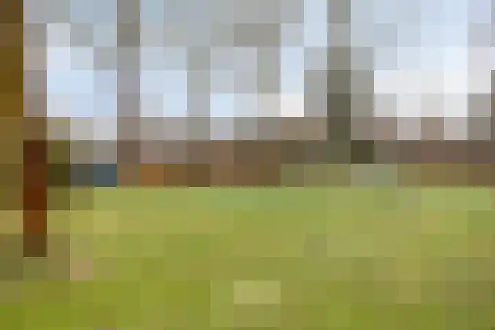 Hoogewei 78 Goes thumbnail 27