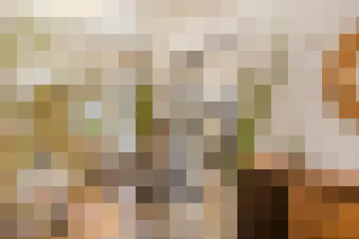 Hoogewei 78 Goes thumbnail 6