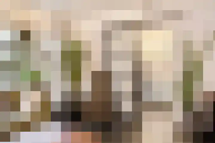 Hoogewei 78 Goes thumbnail 7