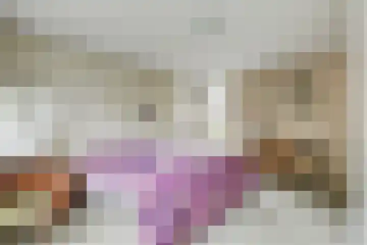 Hoogewei 80 Goes thumbnail 18
