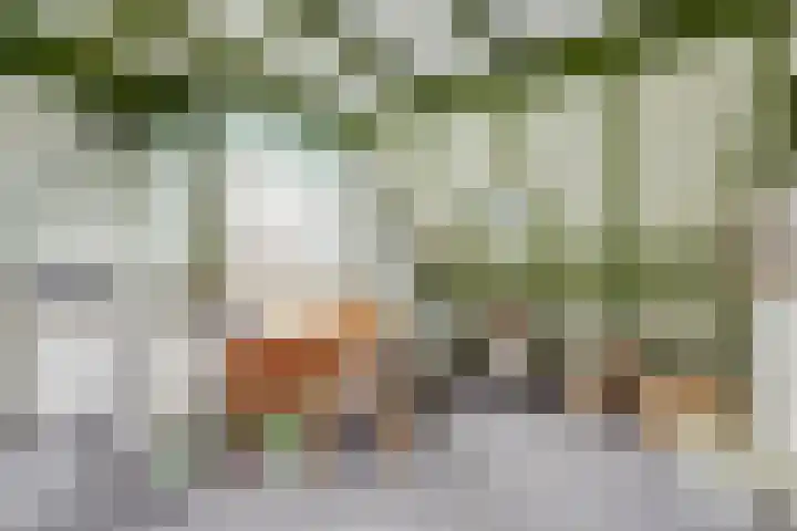 Hoogewei 80 Goes thumbnail 28