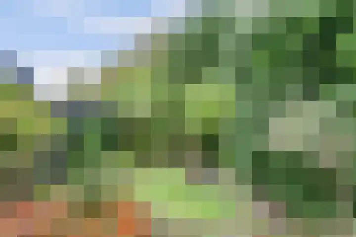 Hoogewei 80 Goes thumbnail 32