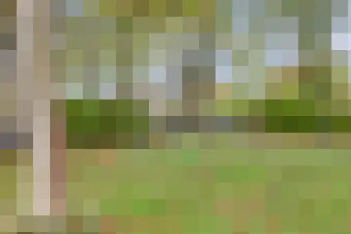 Hoogewei 80 Goes thumbnail 33