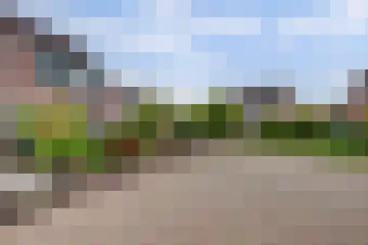 Hoogewei 80 Goes thumbnail 4