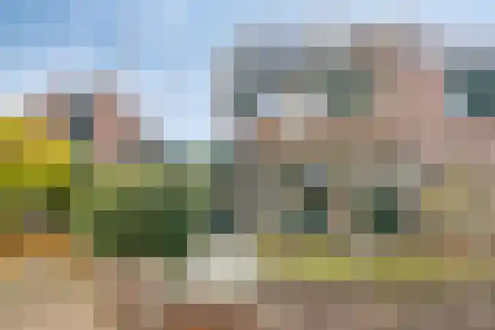 Hoogewei 82 Goes