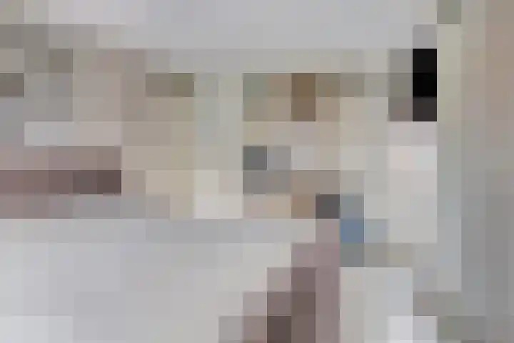 Hoogewei 82 Goes thumbnail 23
