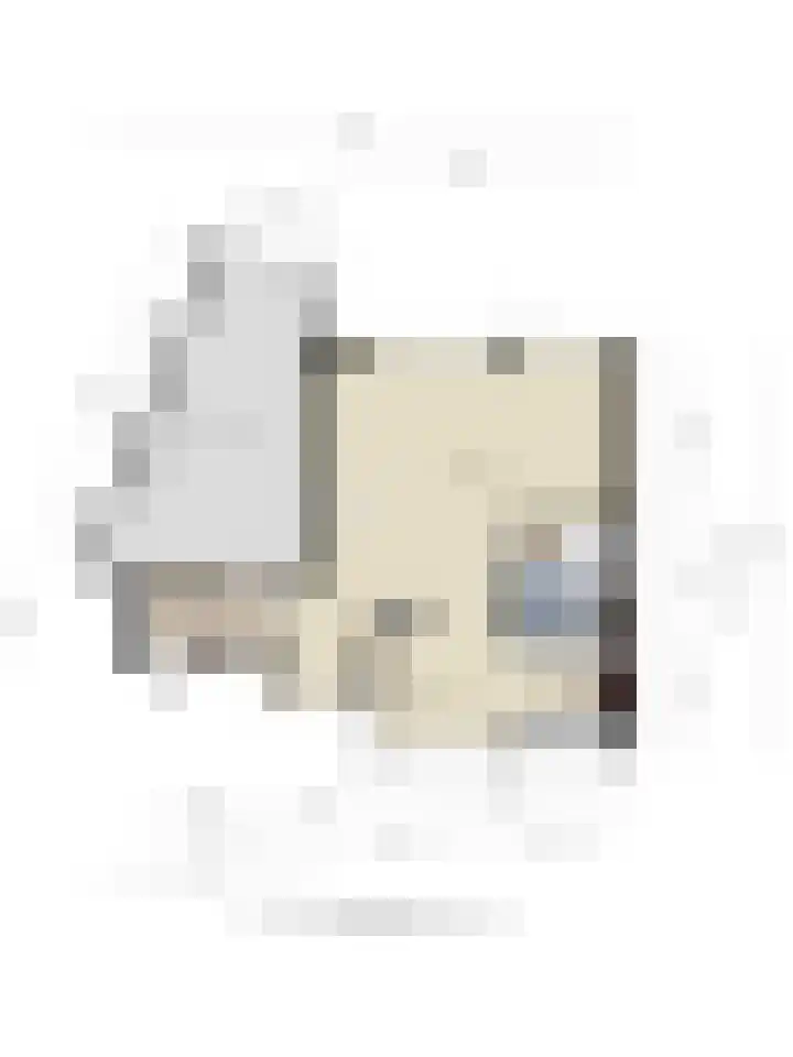 Hoogewei 82 Goes thumbnail 44