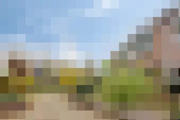 Hoogewei 82 Goes thumbnail 6