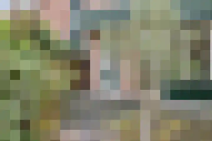 Hoogewei 82 Goes thumbnail 9