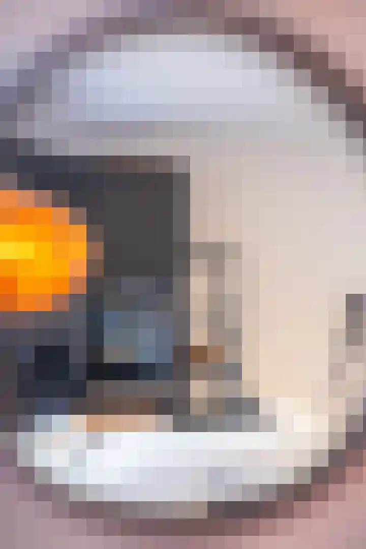 Hoogewoud 21 Zwaag thumbnail 16