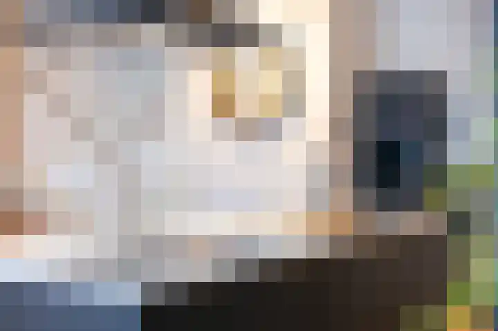 Hoogewoud 21 Zwaag thumbnail 17