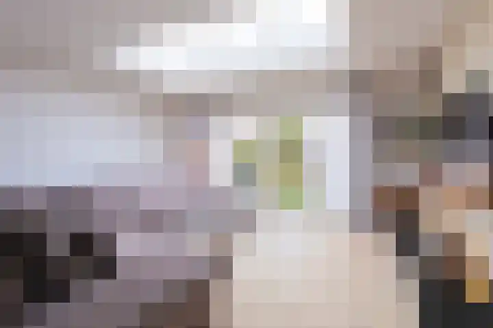 Hoogewoud 21 Zwaag thumbnail 19