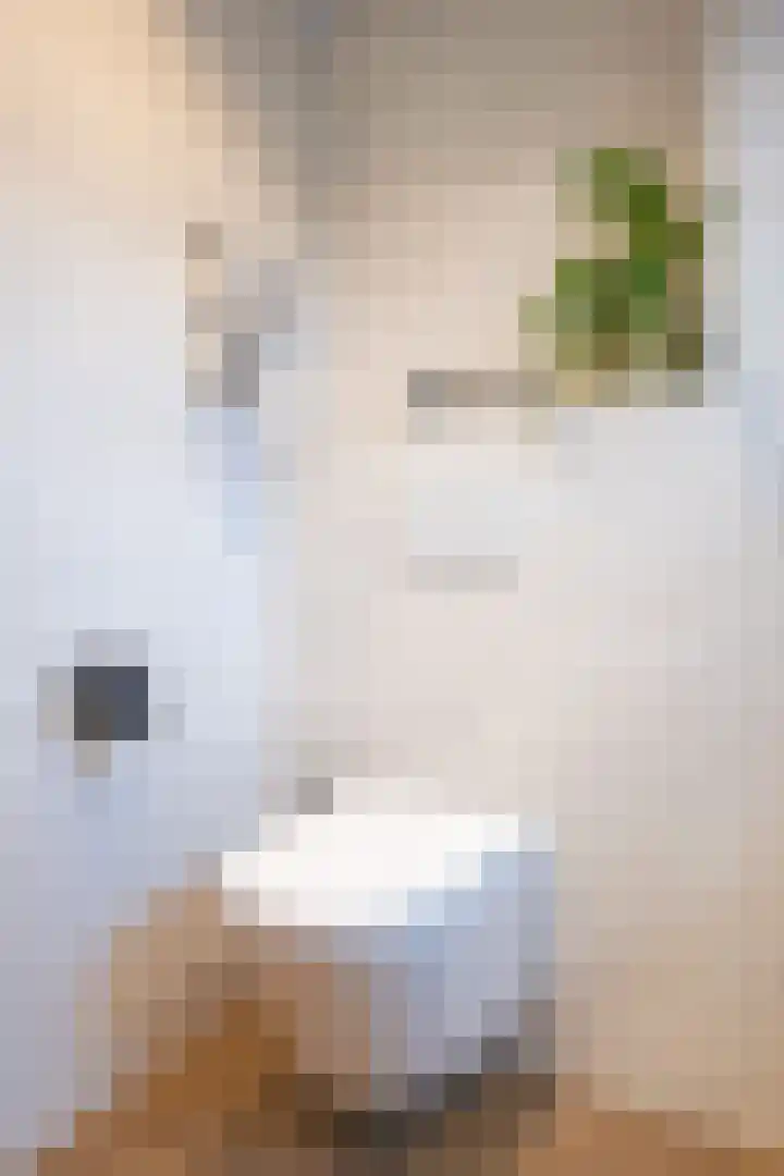 Hoogewoud 21 Zwaag thumbnail 30
