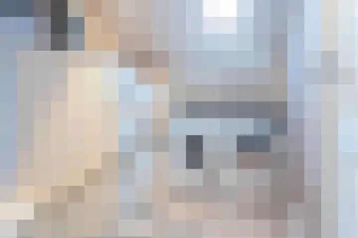 Hoogewoud 21 Zwaag thumbnail 37