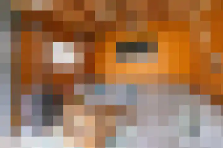 Hoogewoud 21 Zwaag thumbnail 4