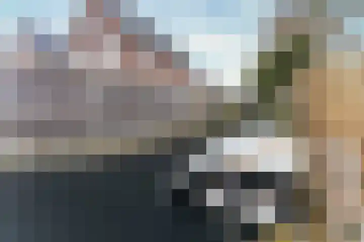 Hoogewoud 21 Zwaag thumbnail 47