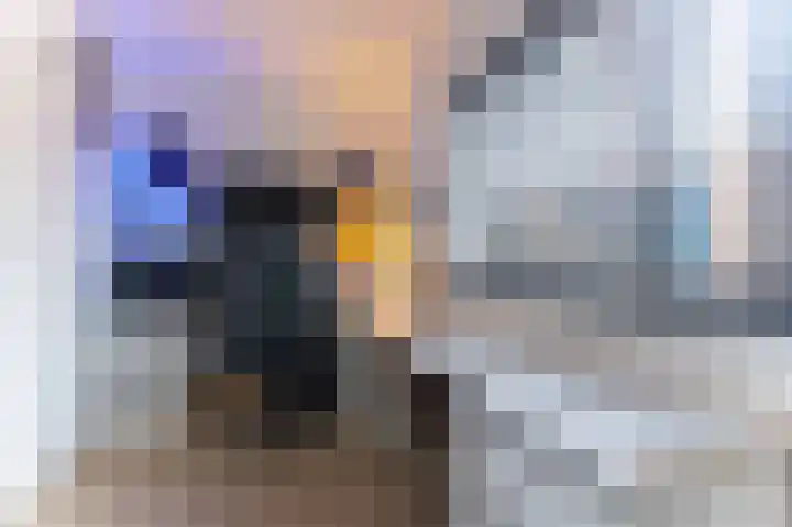 Hoogewoud 21 Zwaag thumbnail 7