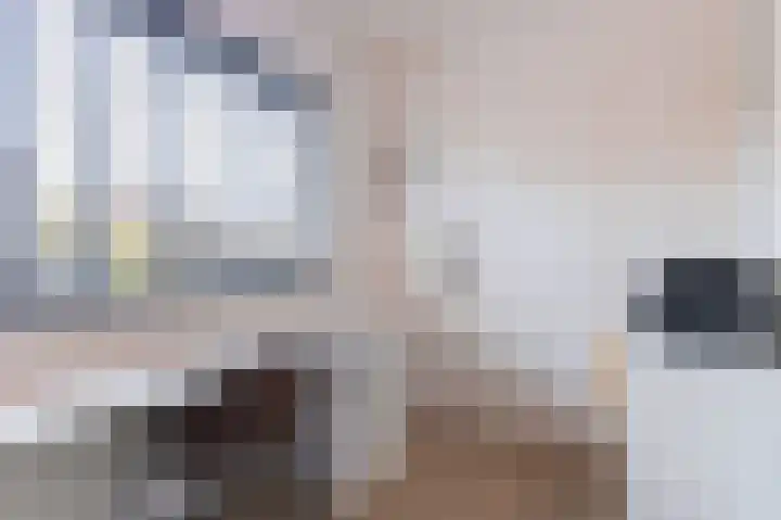 Hoogewoud 21 Zwaag thumbnail 8