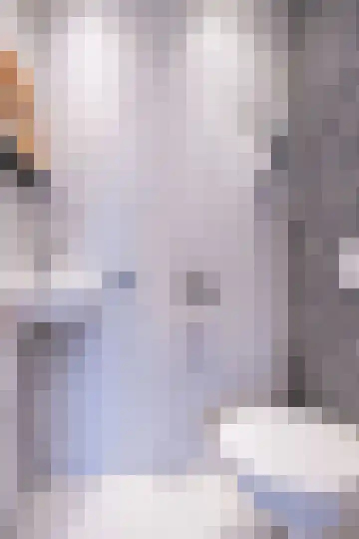 Hoogewoud 21 Zwaag thumbnail 9
