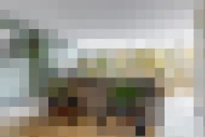 Hoogewoud 24 Zwaag thumbnail 12