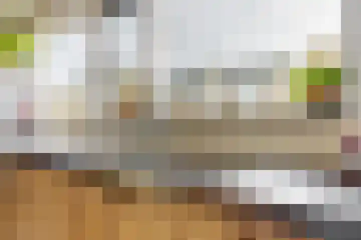 Hoogewoud 24 Zwaag thumbnail 15