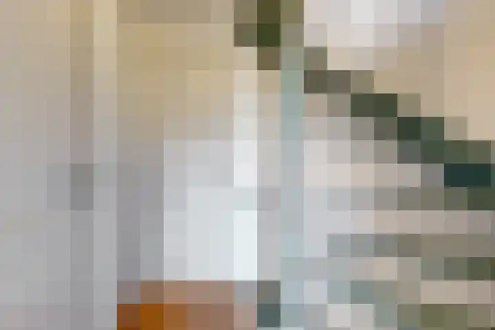 Hoogewoud 24 Zwaag thumbnail 17