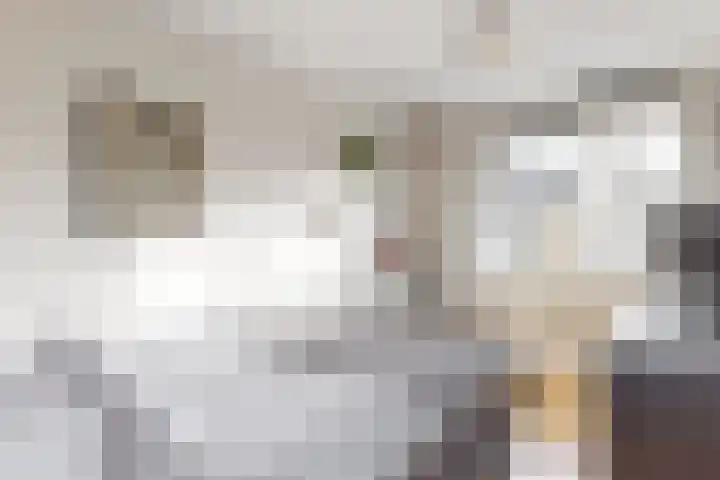 Hoogewoud 24 Zwaag thumbnail 20