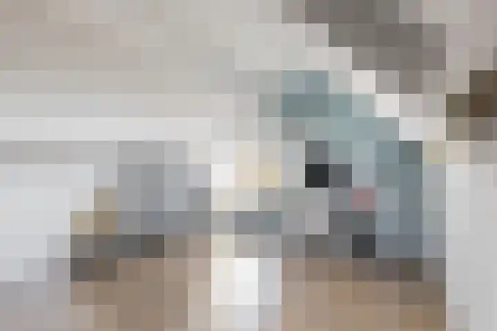 Hoogewoud 24 Zwaag thumbnail 25