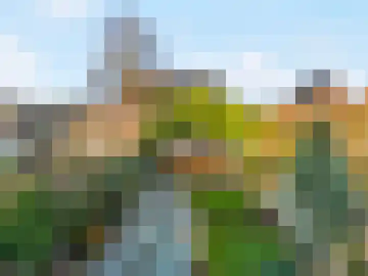 Hoogewoud 24 Zwaag thumbnail 28