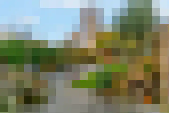Hoogewoud 24 Zwaag thumbnail 30