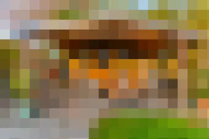 Hoogewoud 24 Zwaag thumbnail 31