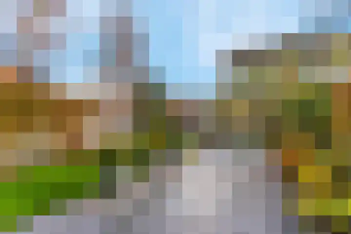 Hoogewoud 24 Zwaag thumbnail 32