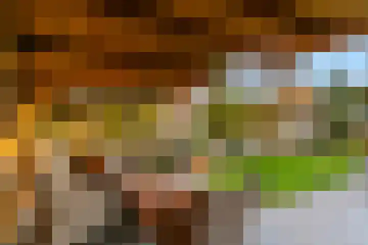 Hoogewoud 24 Zwaag thumbnail 33