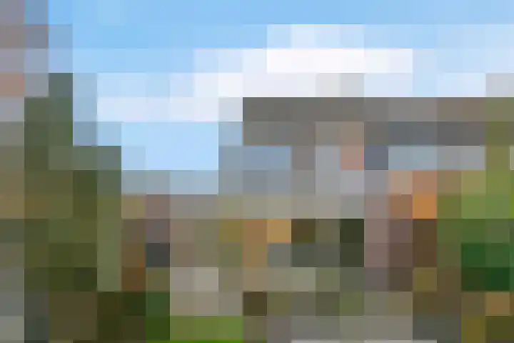 Hoogewoud 24 Zwaag thumbnail 34