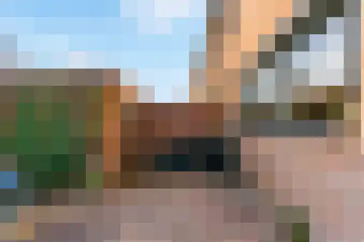 Hoogewoud 24 Zwaag thumbnail 35