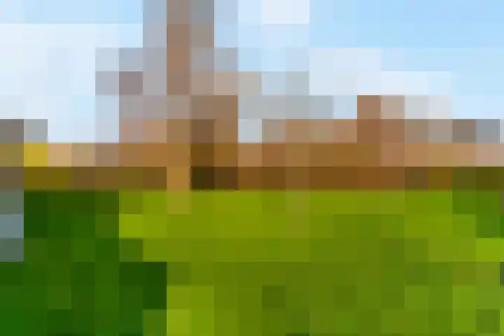 Hoogewoud 24 Zwaag thumbnail 36