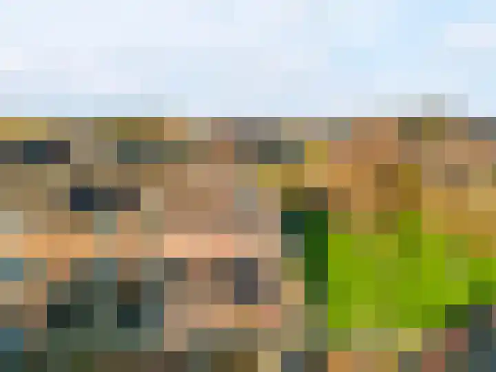 Hoogewoud 24 Zwaag thumbnail 39