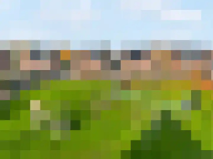 Hoogewoud 24 Zwaag thumbnail 40