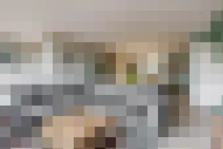 Hoogewoud 24 Zwaag thumbnail 6